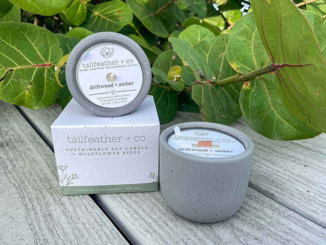Sustainable Plantable Candle | Driftwood + Amber
